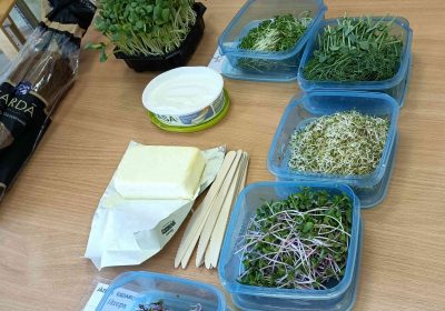 Veselīgie mikrozaļumi