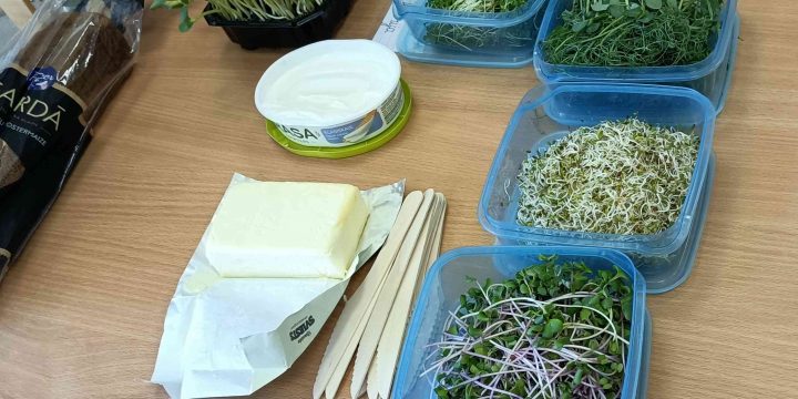 Veselīgie mikrozaļumi